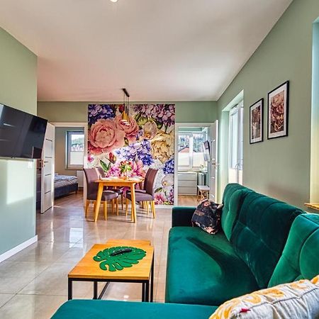 Świeradów-Zdrój Apartament Kwiatowy - 5D Apartamenty מראה חיצוני תמונה